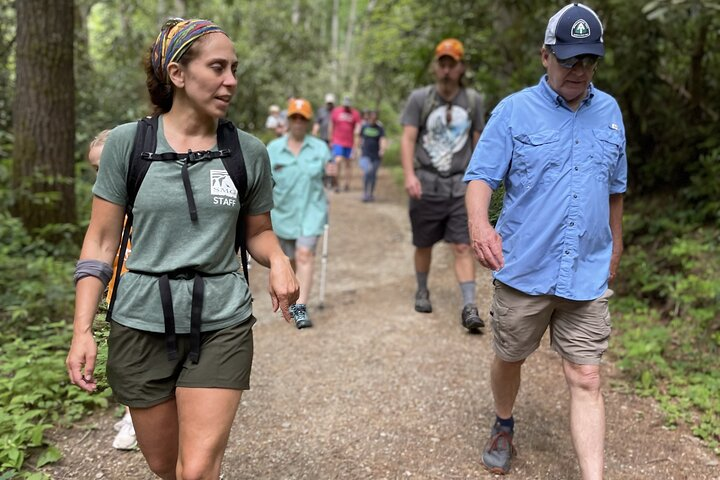 Mountaineer's Way Hike in the Smokies - Photo 1 of 6